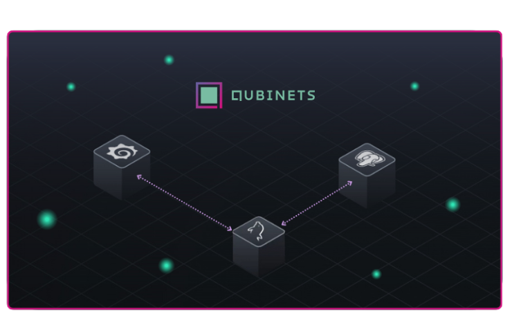 Data Visualization with Qubinets