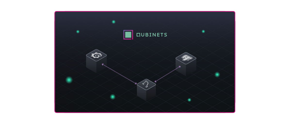 Data Visualization with Qubinets